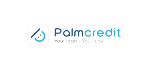 PalmCredit Loan: Get Up To ₦300,000 in Minutes (Nigeria)