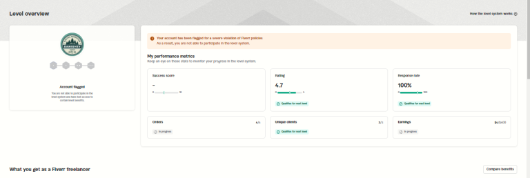 Fiverr Level Account Flagged